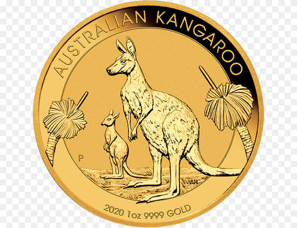 Australian Gold Kangaroo Coins Image, Animal, Mammal, Coin, Money Png