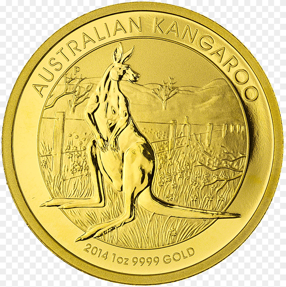 Australian Gold Kangaroo Nugget Gold Australian Kangaroo Coin, Person Free Png Download