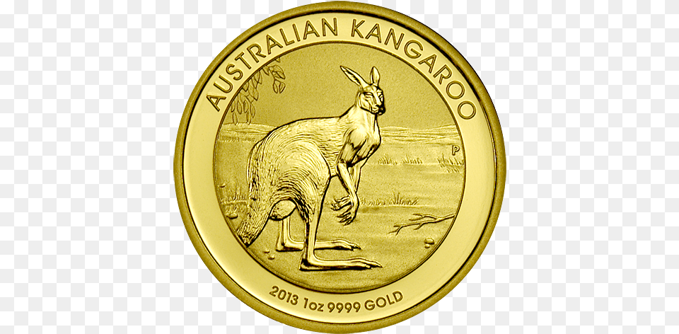 Australian Kangaroo Gold Coins Bahamian 50 Dollar Gold Coin, Animal, Mammal Free Png Download
