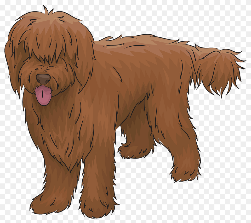 Australian Labradoodle Clipart, Animal, Puppy, Pet, Mammal Free Png Download