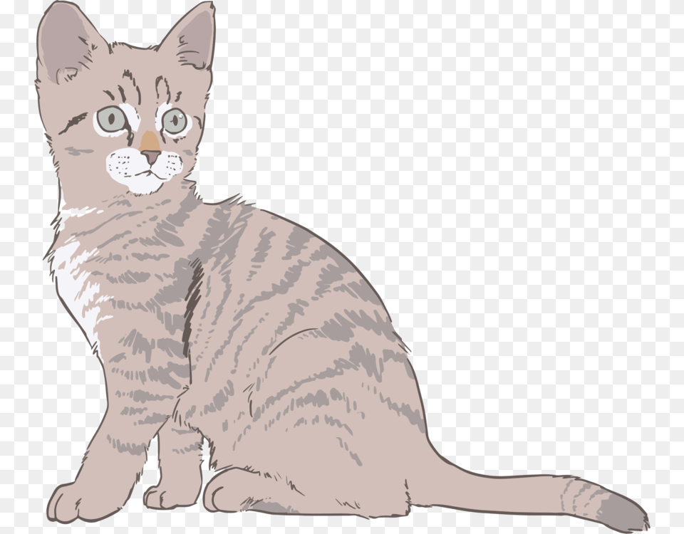 Australian Mistwild Catcarnivoran Cat Drawing With Color, Animal, Mammal, Pet Free Png