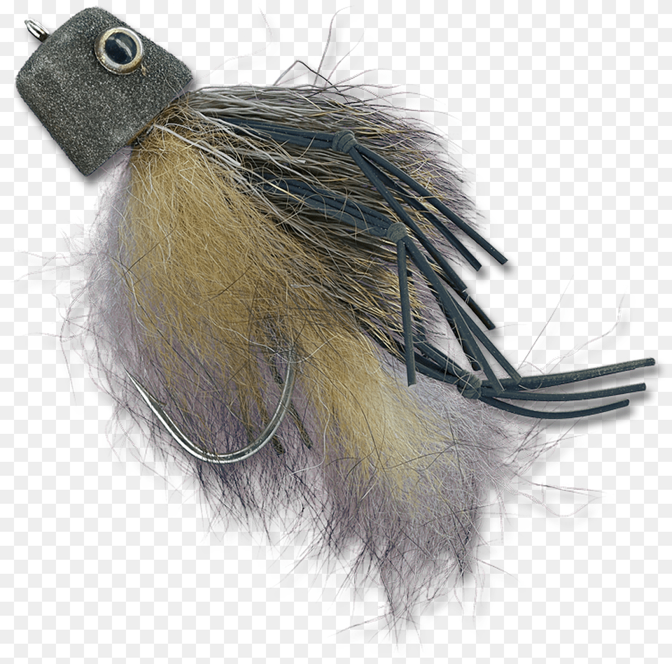 Australian Possum Feather, Plant, Fishing Lure, Accessories Free Png