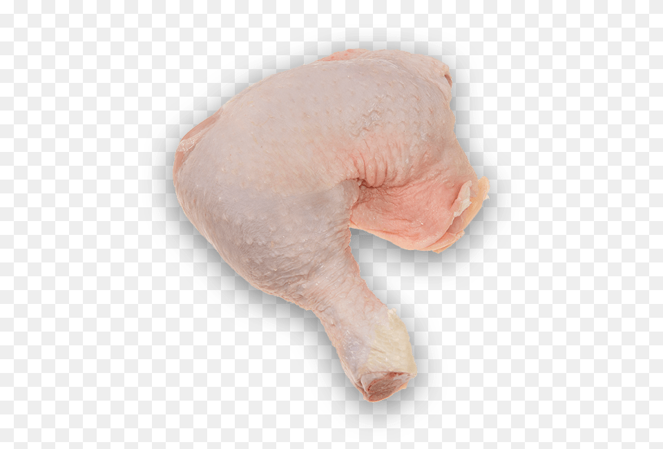 Australian Wholesale Meats, Animal, Baby, Bird, Person Png