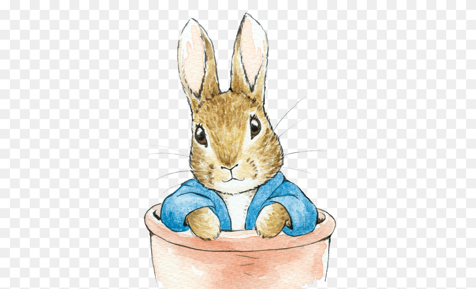 Australias Leading Entertainment Company Showtime Attractions Transparent Peter Rabbit, Animal, Mammal, Hare, Rodent Free Png Download
