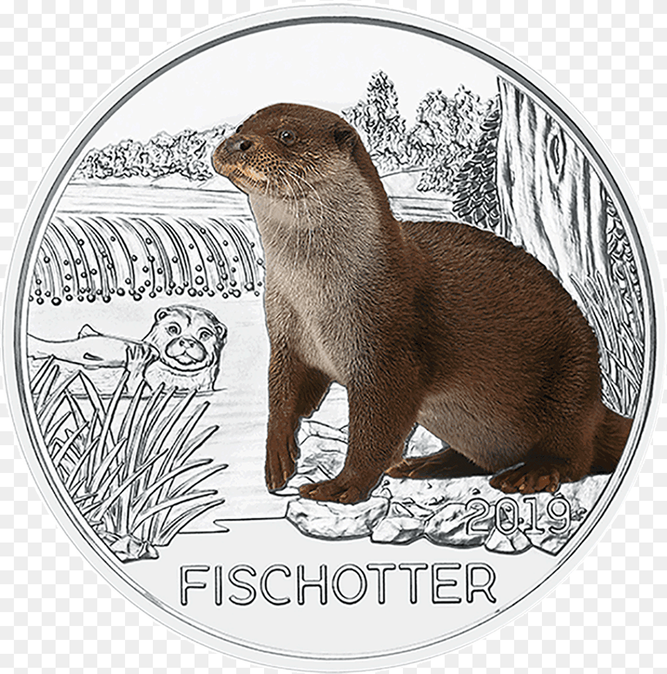 Austria 3 Euro Otter, Animal, Wildlife, Mammal, Face Free Transparent Png