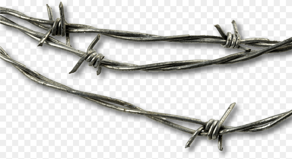 Authority Barbed Wire, Barbed Wire Free Transparent Png