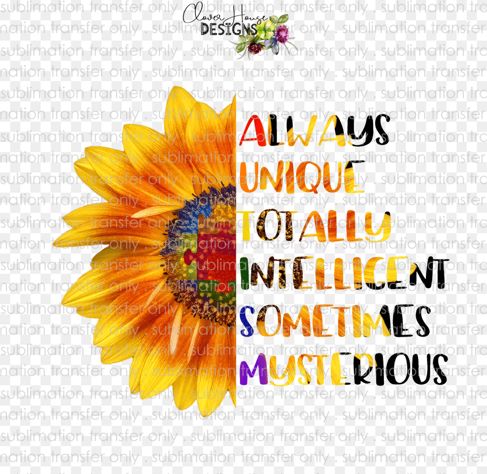 Autism Awareness, Flower, Plant, Sunflower, Petal Png Image