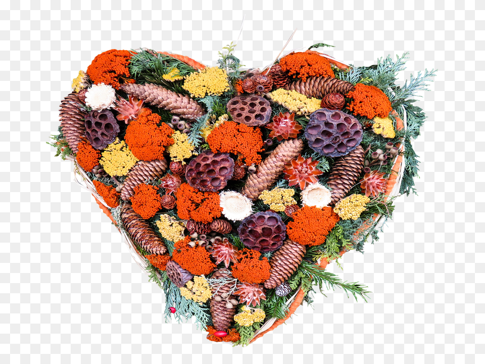 Autumn Clip Png Image