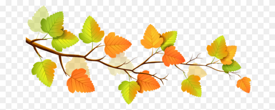Autumn, Leaf, Plant, Tree, Vegetation Free Transparent Png
