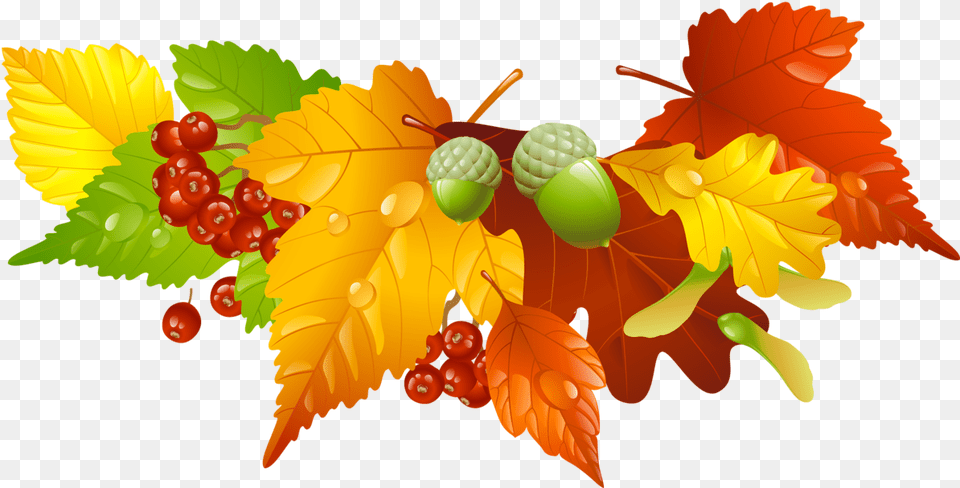 Autumn, Food, Leaf, Nut, Plant Free Transparent Png