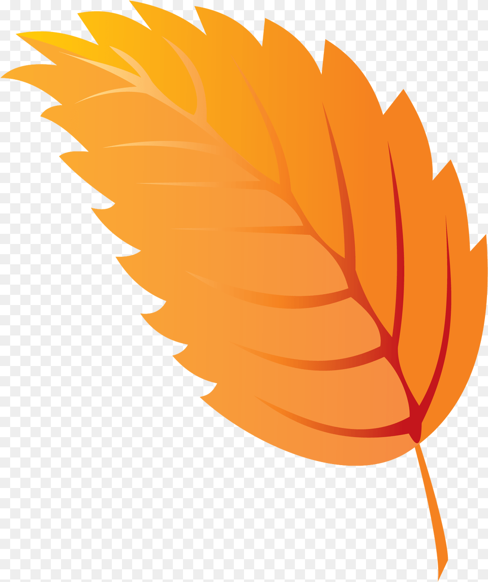 Autumn, Leaf, Plant, Tree, Maple Leaf Free Png Download