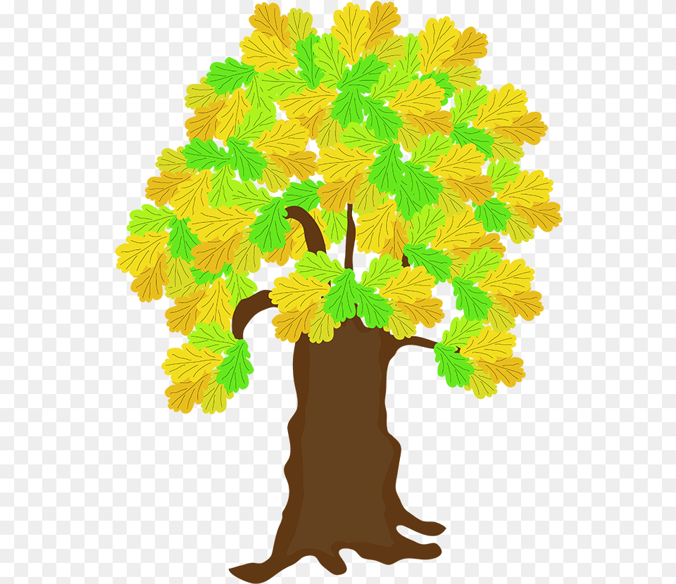 Autumn, Leaf, Oak, Plant, Sycamore Png