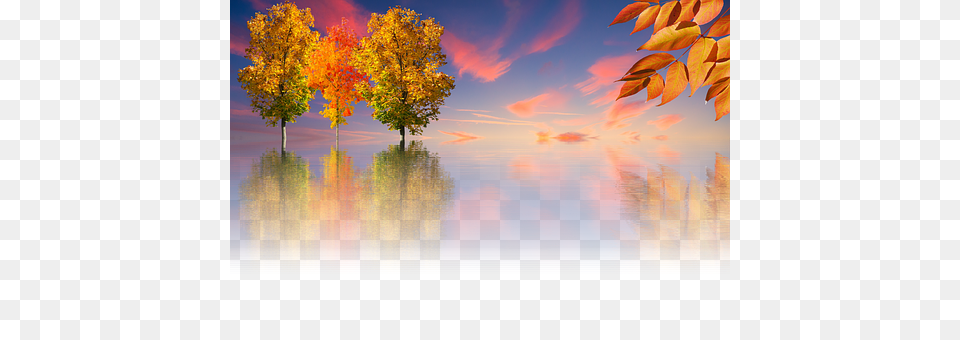 Autumn Scenery, Leaf, Nature, Outdoors Png