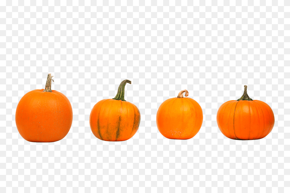 Autumn 2905 Clip, Food, Plant, Produce, Pumpkin Png Image