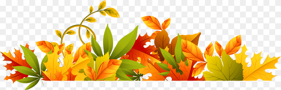 Autumn, Leaf, Plant, Art, Graphics Free Png