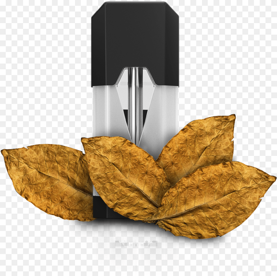 Autumn, Leaf, Plant, Bottle, Tobacco Png