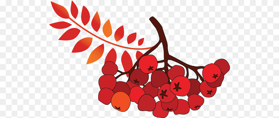 Autumn, Art, Food, Fruit, Graphics Png