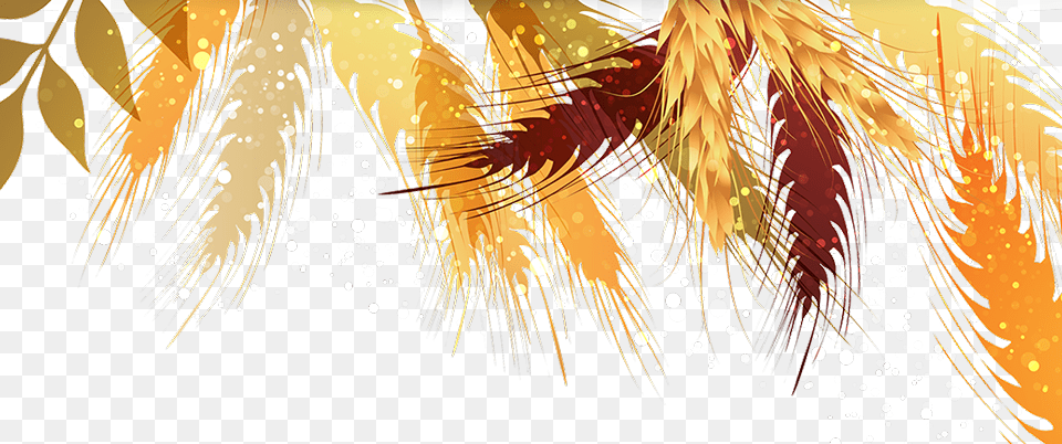 Autumn, Art, Plant, Leaf, Graphics Free Png