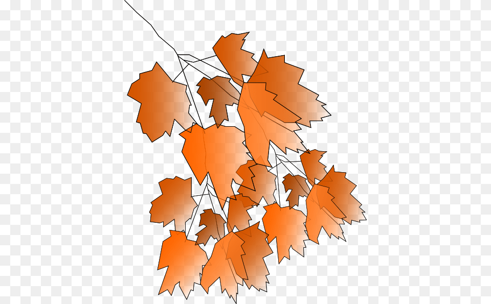 Autumn, Leaf, Maple, Plant, Tree Free Png