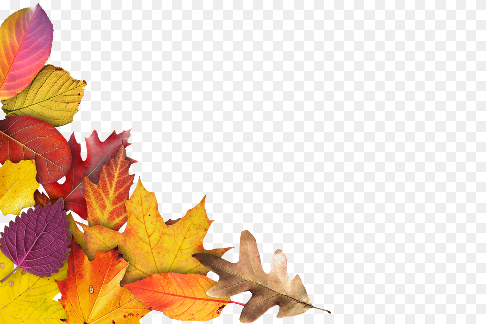 Autumn Clip Png Image