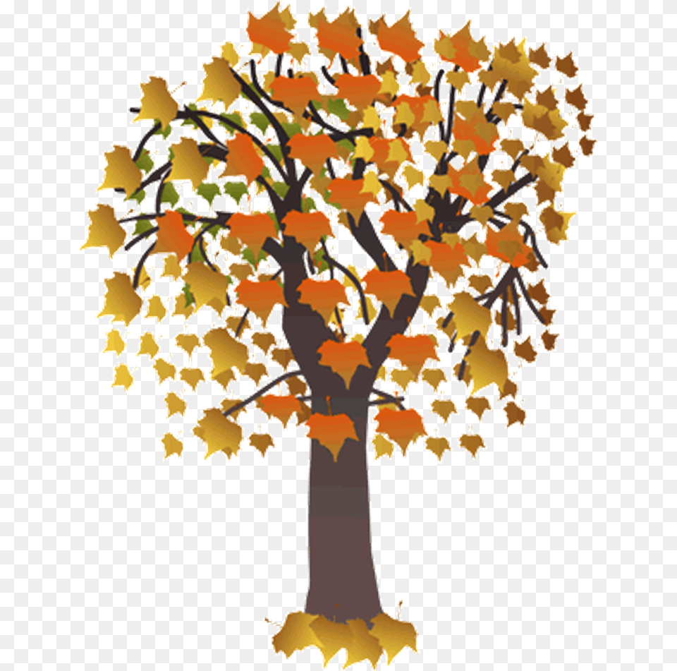 Autumn And Fall Clip Art Collections Maple Tree Clip Art, Leaf, Oak, Plant, Sycamore Png