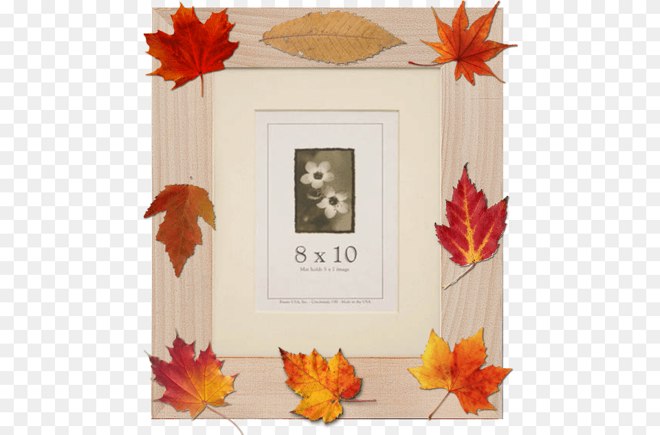 Autumn Archives Frame Usau0027s Blog Frames, Leaf, Plant, Tree, Maple Free Transparent Png