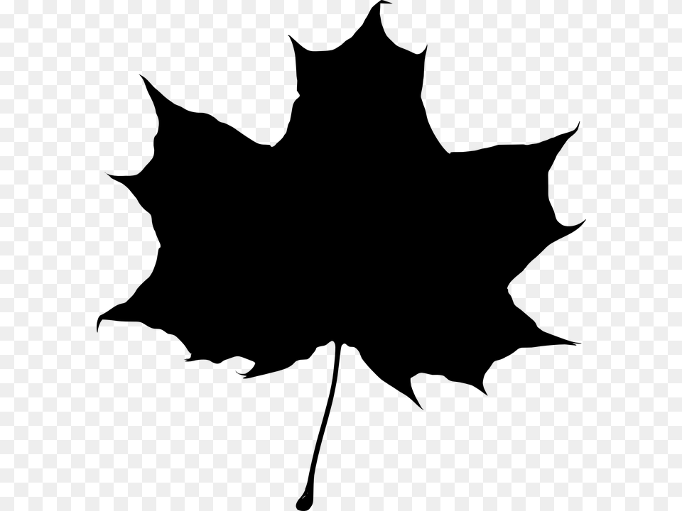 Autumn Black And White Transparent Autumn Black And White, Gray Free Png Download