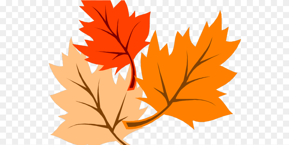 Autumn Border Autumn Leaves Clipart Corner Border Hojas De Dibujo, Leaf, Plant, Tree, Maple Leaf Png Image