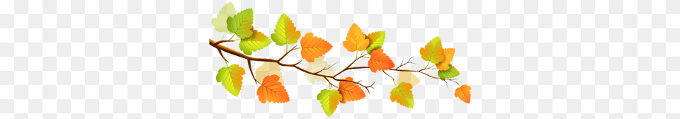 Autumn Branch Transparent Autumn, Leaf, Plant, Tree Free Png