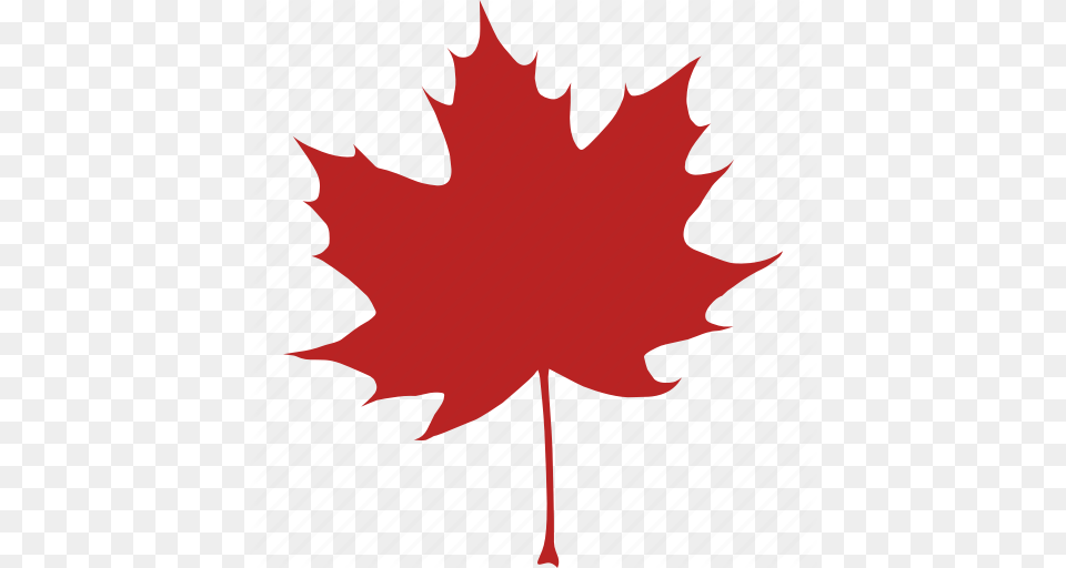 Autumn Canada Canadian Fall Leaf Maple Red Icon, Maple Leaf, Plant, Tree Free Transparent Png