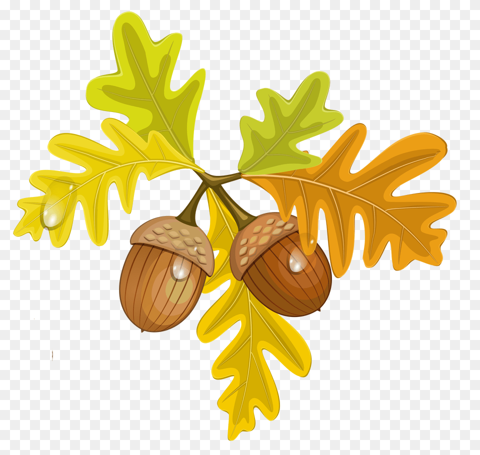 Autumn Clip Art, Food, Grain, Nut, Plant Free Png Download