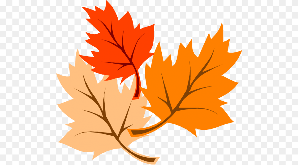 Autumn Clip Art, Leaf, Plant, Tree, Maple Leaf Free Transparent Png