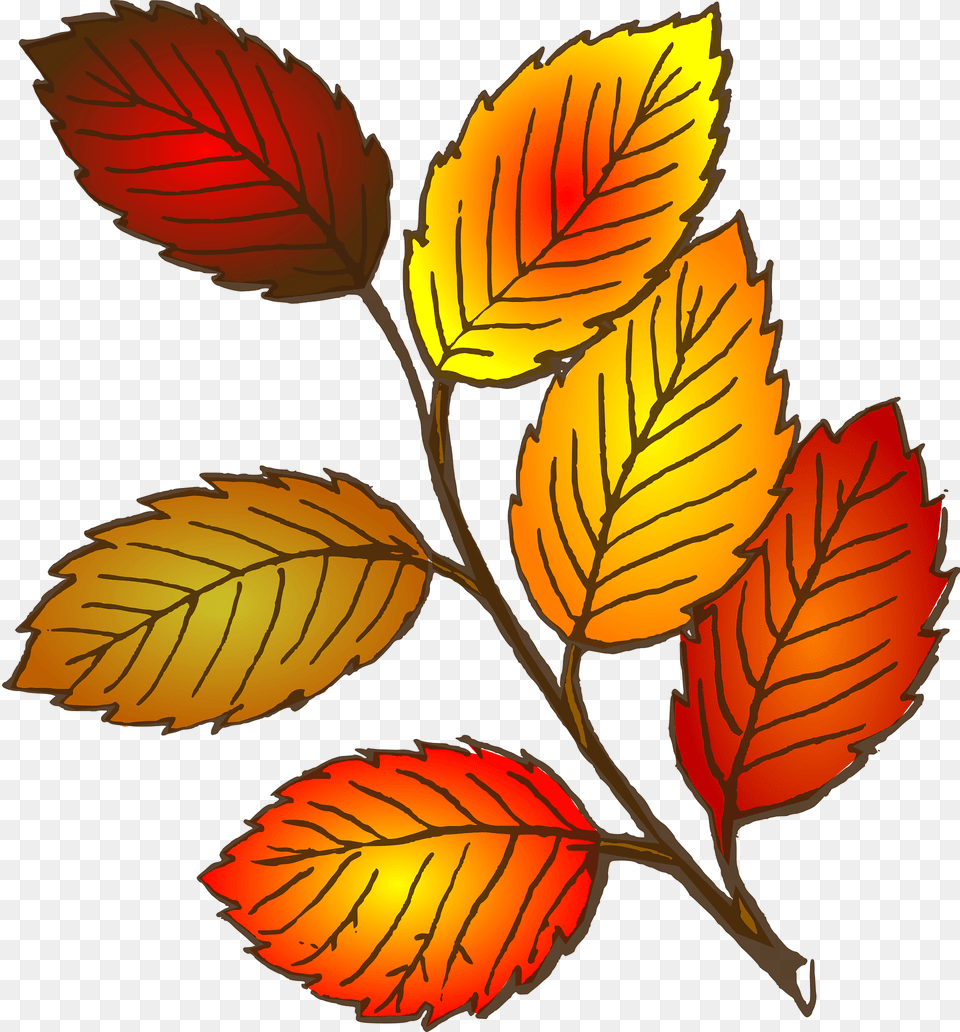 Autumn Clipart, Leaf, Plant, Pattern, Art Png