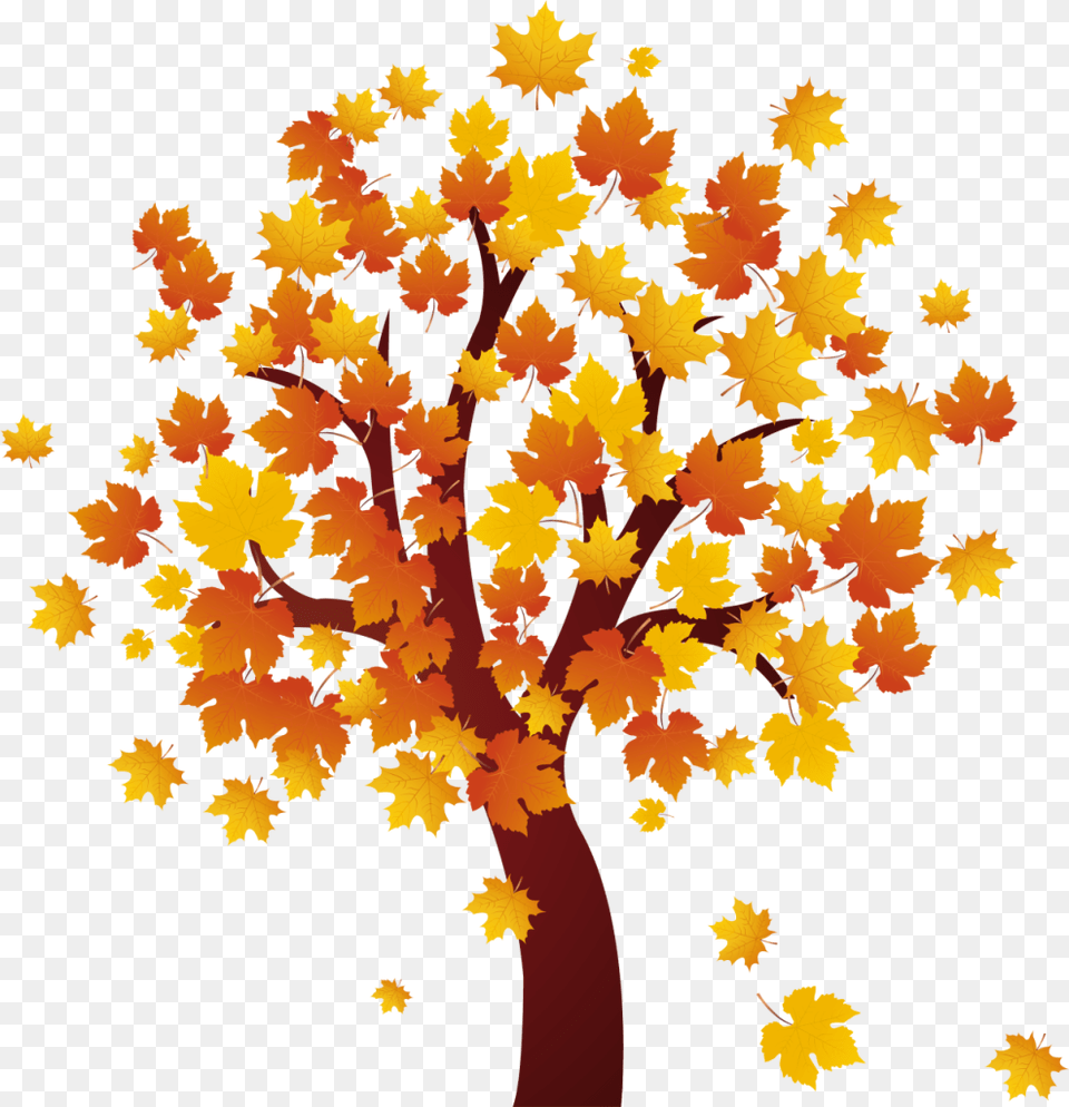 Autumn Clipart, Leaf, Maple, Plant, Tree Free Transparent Png