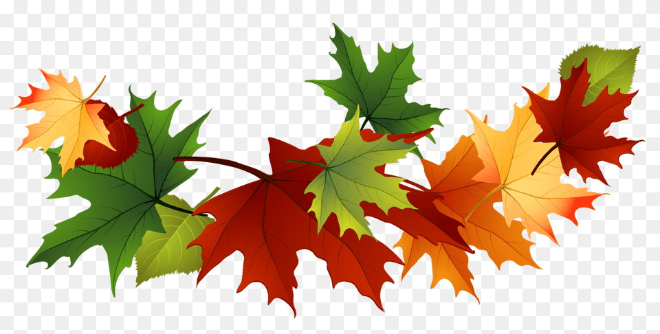 Autumn Clipart Woodland, Leaf, Plant, Tree, Maple Free Transparent Png