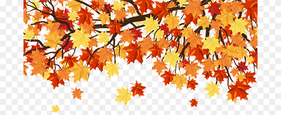 Autumn Colors Leaves Falling Daylight Savings Maple Leaf Background Vector, Plant, Tree Png