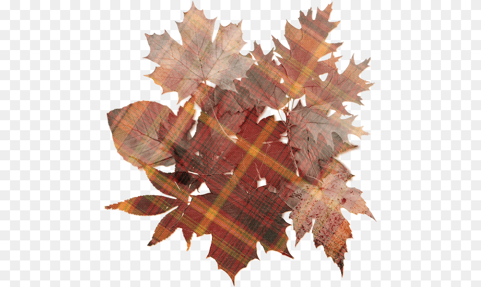 Autumn Colors Orange Vintage Autumn, Leaf, Plant, Tartan Free Transparent Png