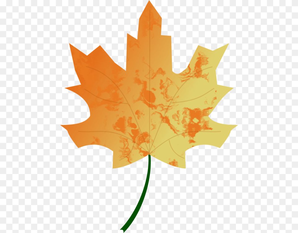 Autumn Colours Fall Leaf Nature Seasons Tree Vector Autumn Leaves, Maple Leaf, Plant, Person Png