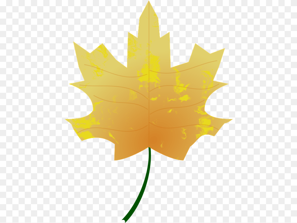 Autumn Colours Fall Vector Graphic On Pixabay Autumn, Leaf, Maple Leaf, Plant, Tree Free Png