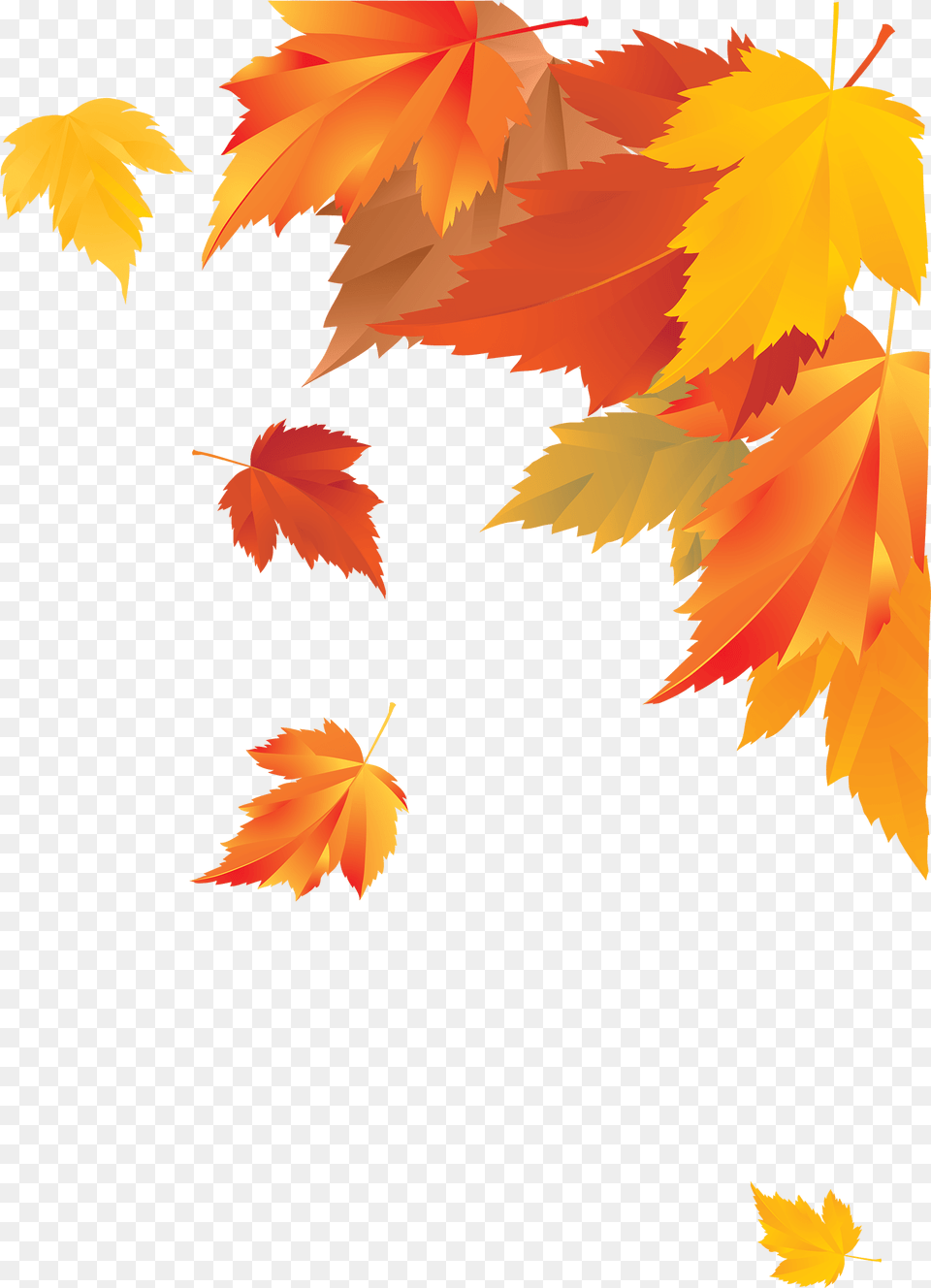 Autumn Corner Decoration Fall Leaves Border, Leaf, Plant, Tree, Maple Png