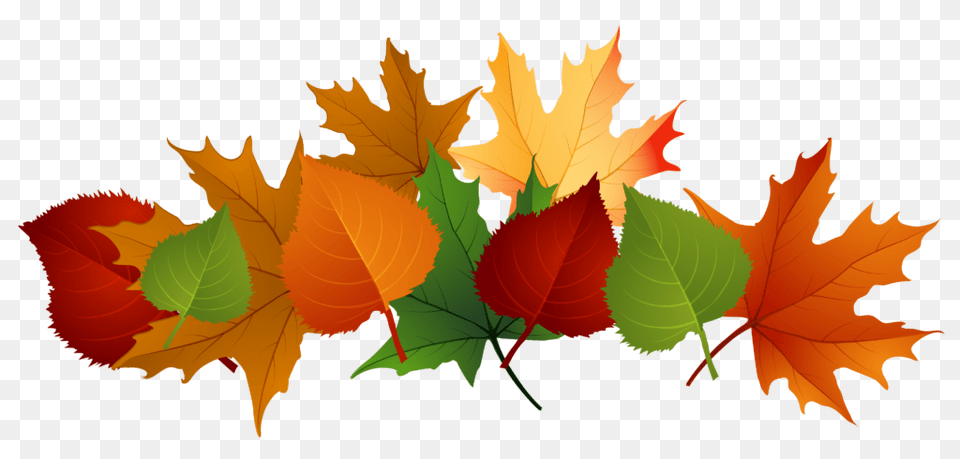 Autumn Cross Clipart Happy Face Clip Art Fall, Leaf, Plant, Tree, Maple Leaf Free Transparent Png