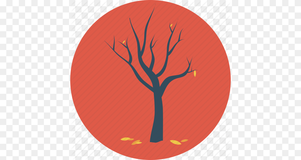 Autumn Dead Tree Fall Fallen Leaves Tree Icon, Plant Free Png Download