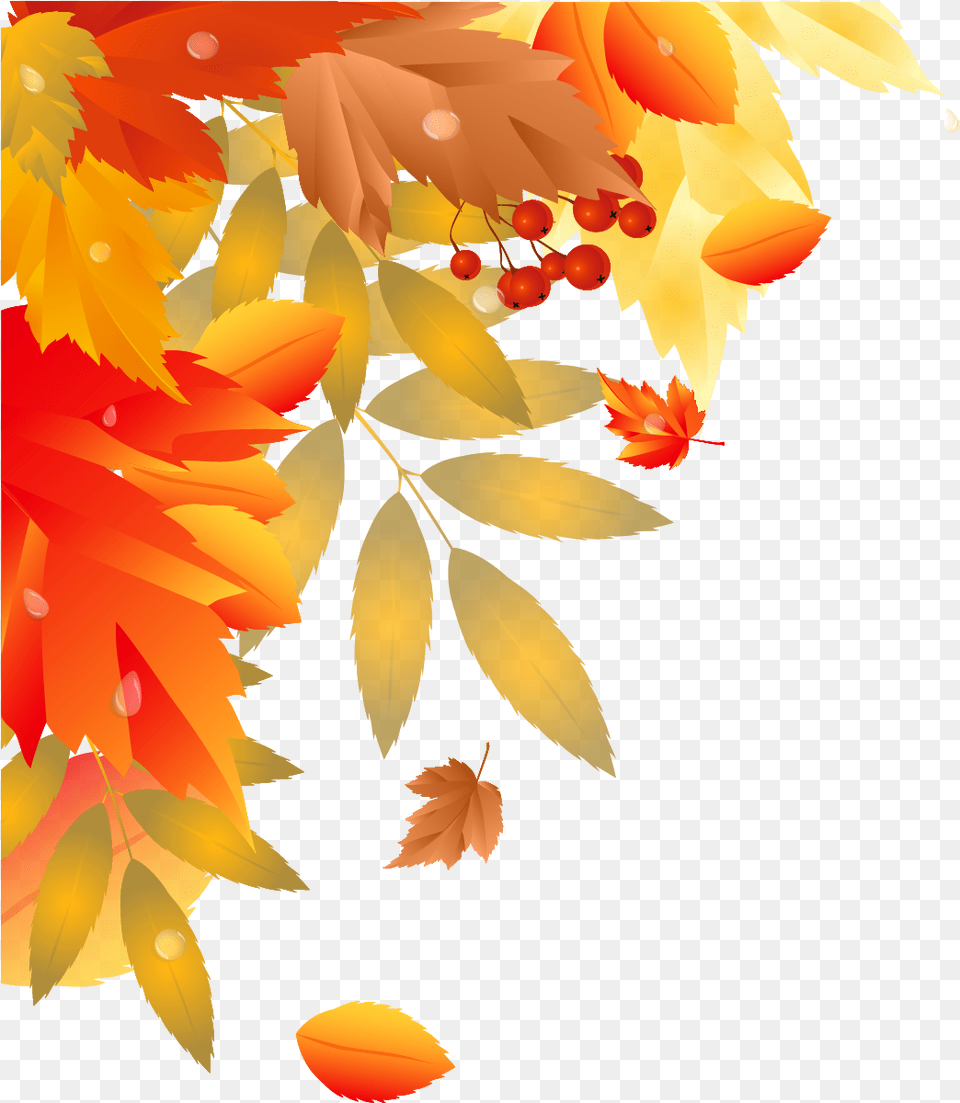 Autumn Decoration Gallery Yopriceville High Autumn, Leaf, Plant, Tree, Maple Png Image