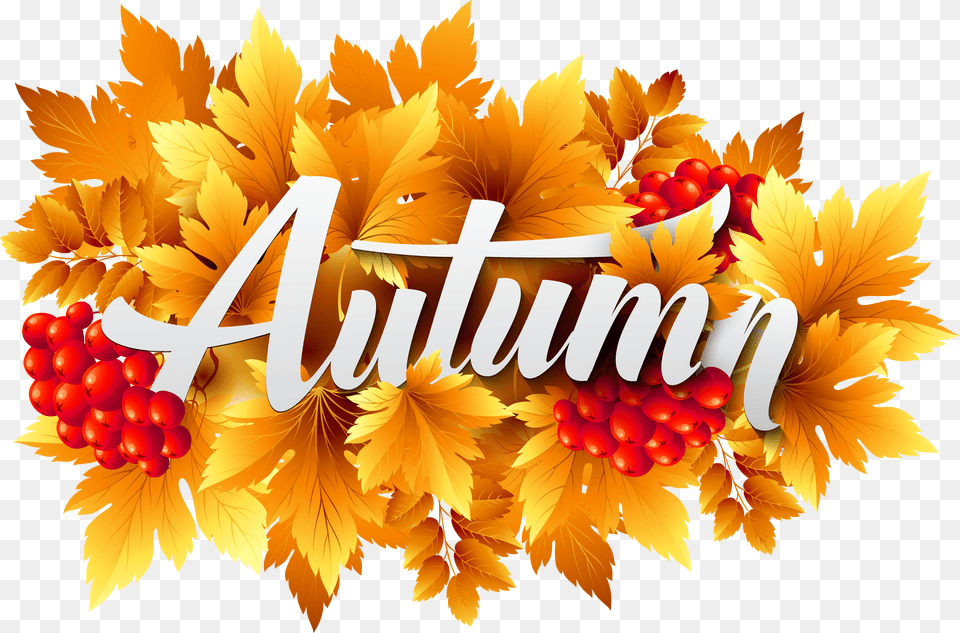 Autumn Decorative Image Free Transparent Png