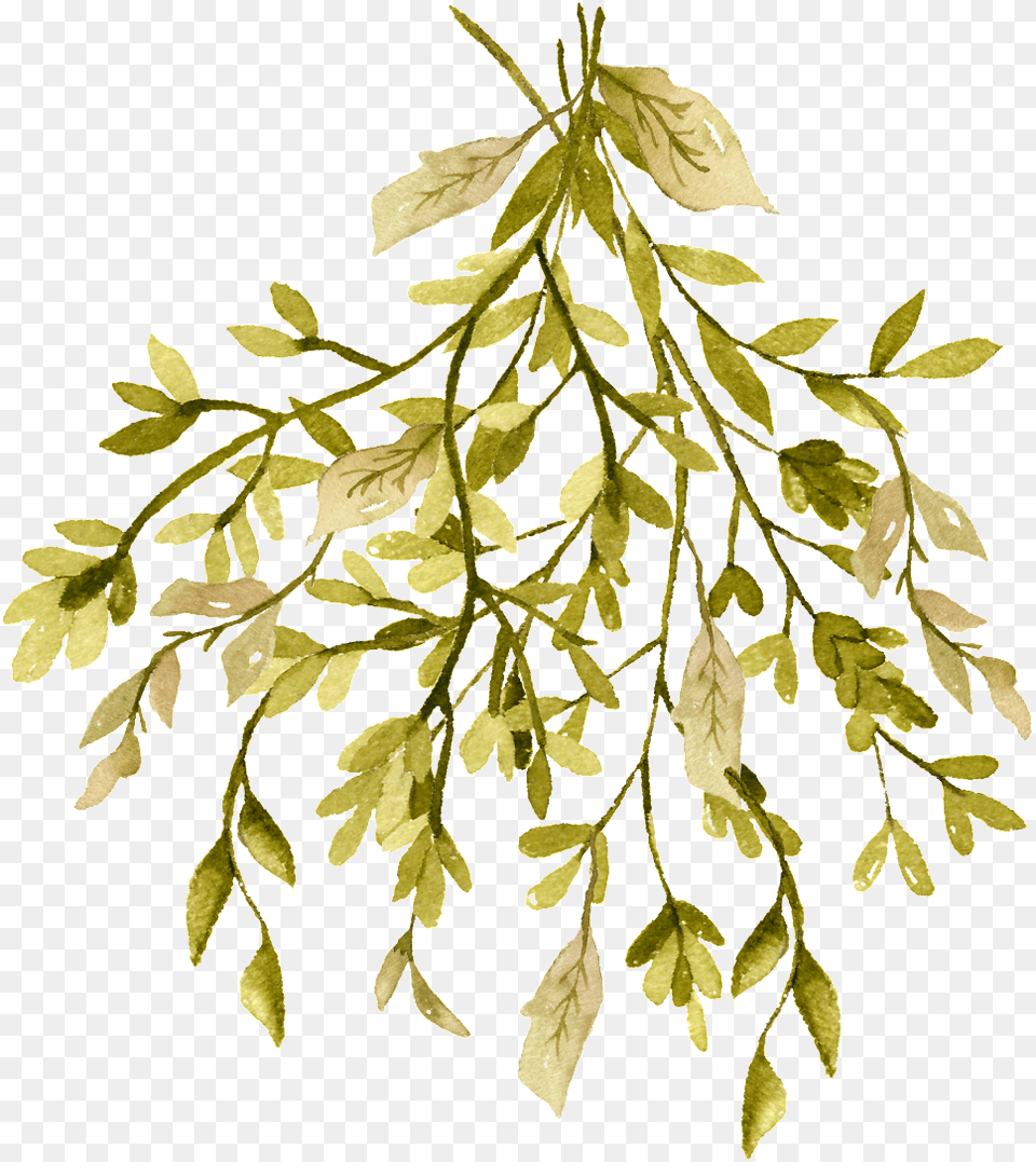 Autumn Dense Branches Cartoon Transparent Twig, Leaf, Oak, Plant, Sycamore Png Image