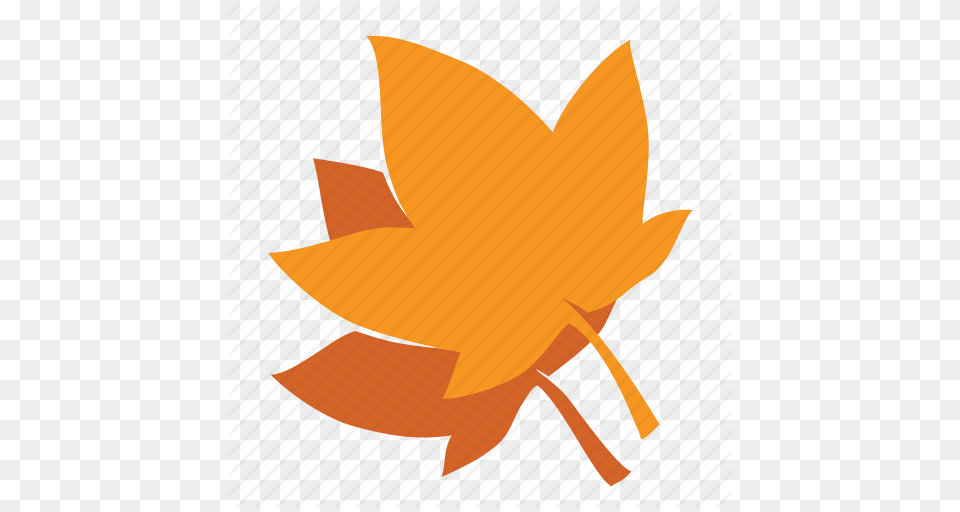 Autumn Fall Forest Leaf Maple Nature Tree Icon, Plant, Maple Leaf, Animal, Fish Png
