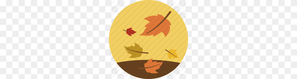 Autumn Fall Leaves Weather Icon, Leaf, Plant, Tree, Maple Leaf Free Png Download