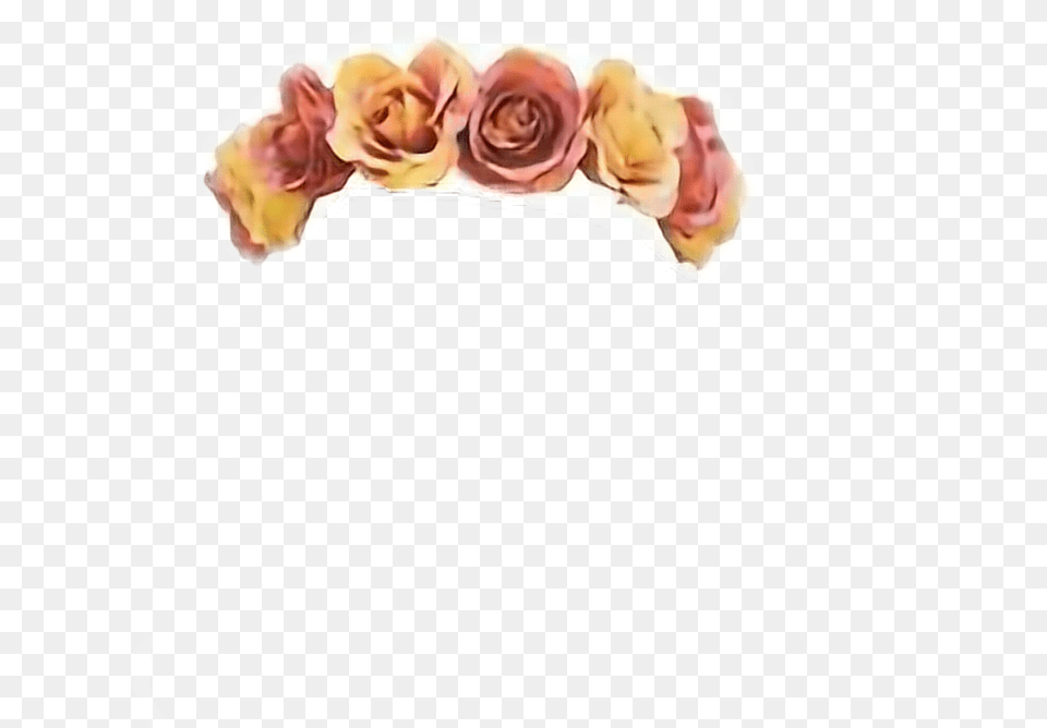 Autumn Fall Roses Flowercrown Crown Flower Crown Cut Out, Rose, Plant, Hat, Clothing Png Image