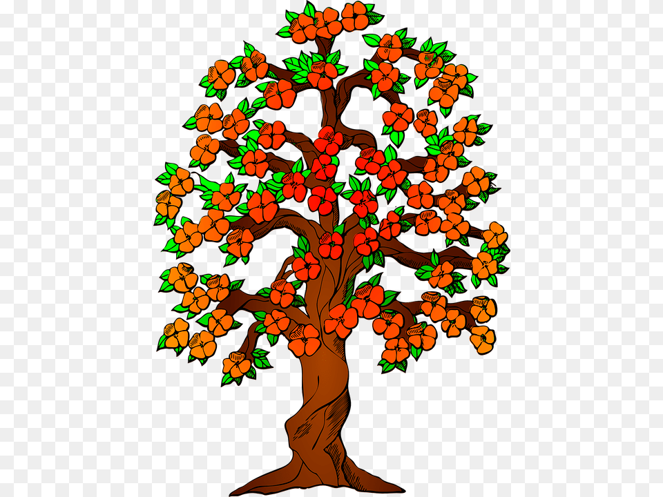 Autumn Fall Tree Leaves Colorful Fall Colors, Art, Plant, Pattern, Person Png Image