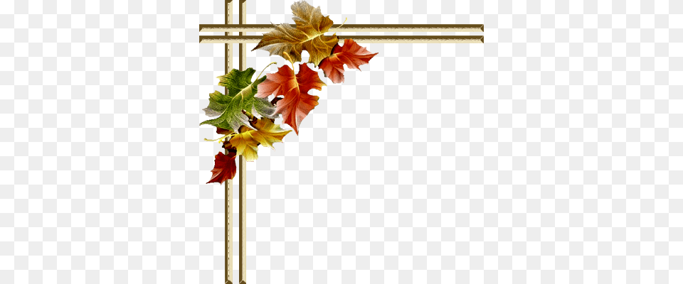 Autumn Flower Border Clipart Clipart, Plant, Flower Arrangement, Leaf, Dahlia Free Png